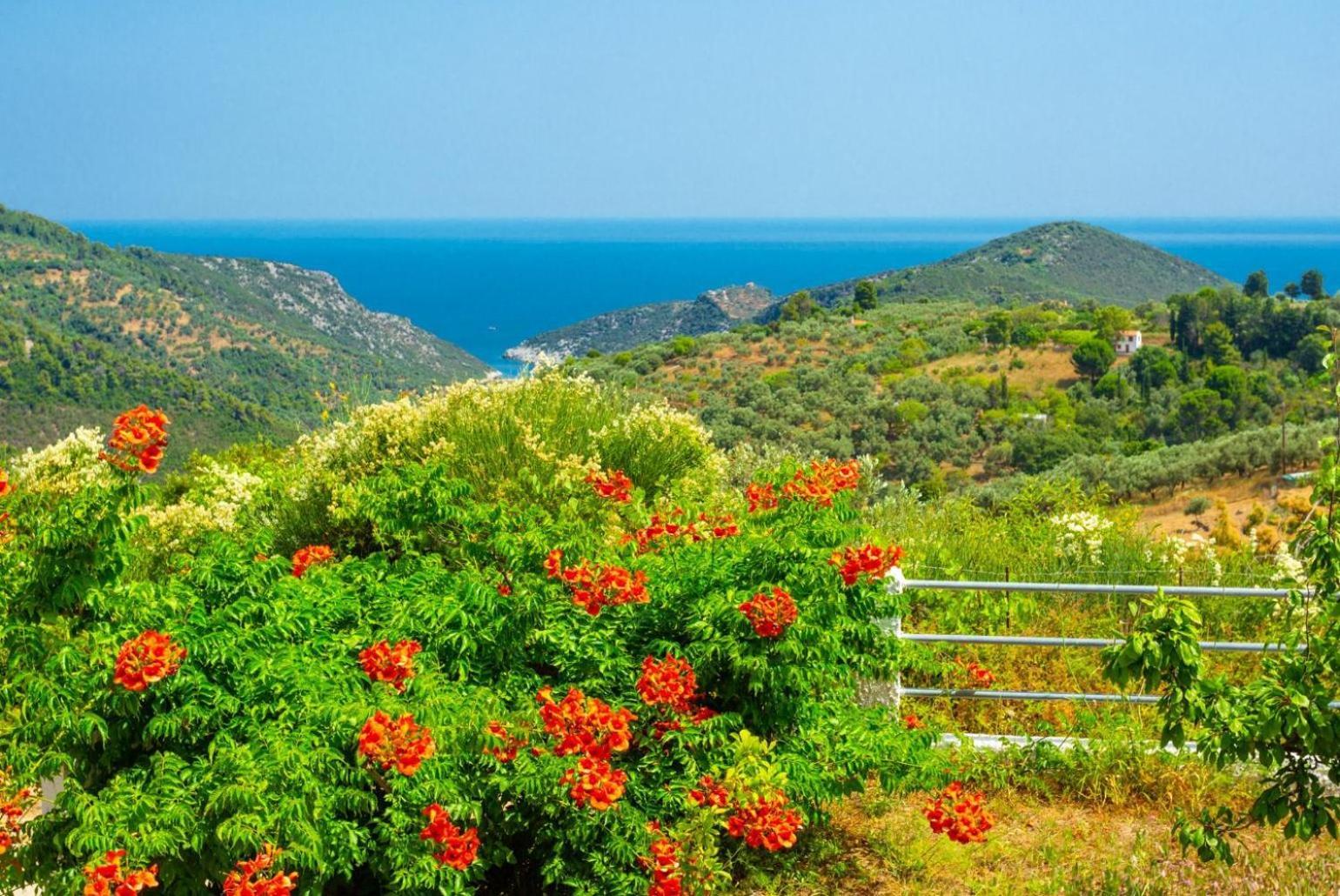 Villa Glafki Panormos  Bagian luar foto